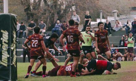 Pardas en La Catedral